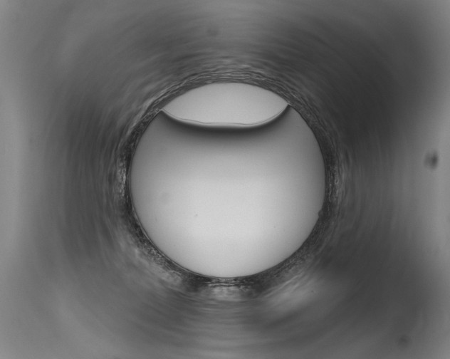 X0000115630228200911101126