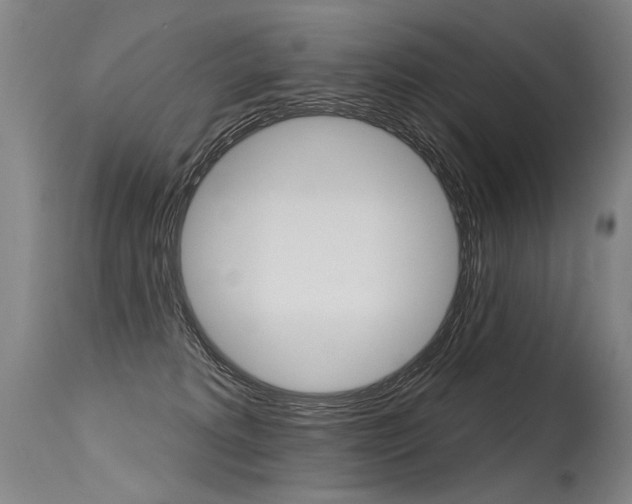 X0000115630229200911101126