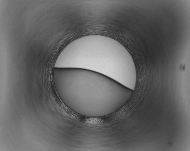 X0000115630231200911101125