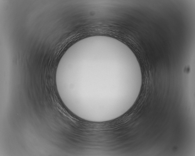 X0000115630233200911101125