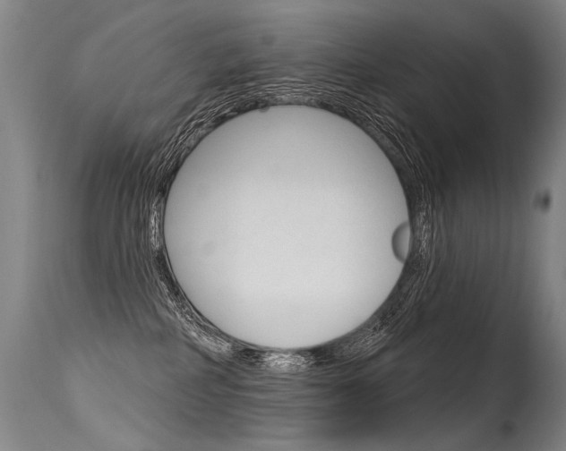 X0000115630234200911101125