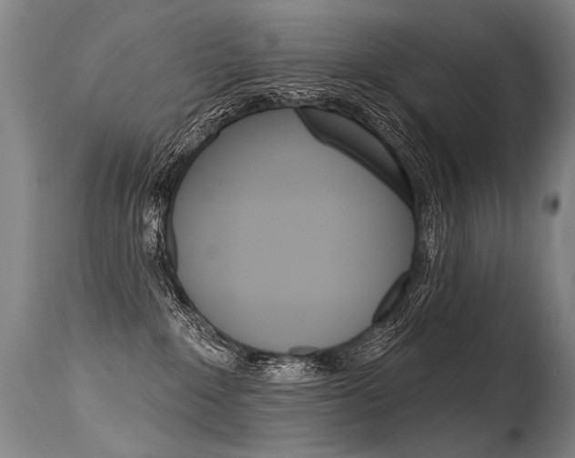 X0000115630235200911101125