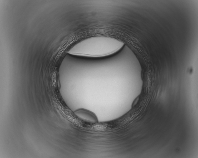 X0000115630236200911101125