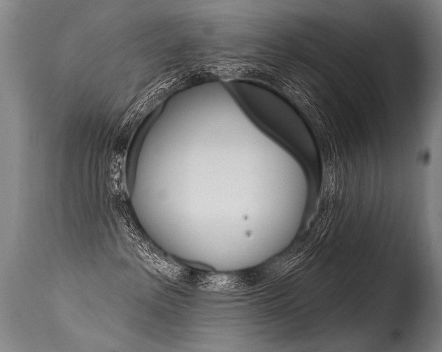 X0000115630237200911101125