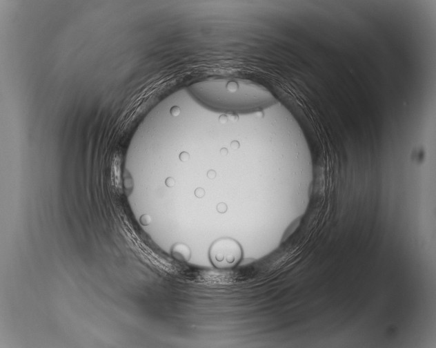 X0000115630238200911101125