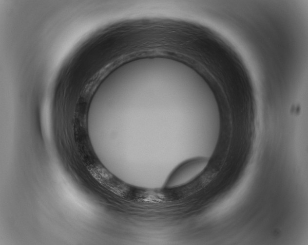 X0000115630239200911101125