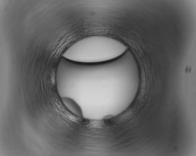 X0000115630240200911101125