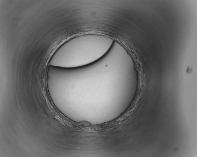 X0000115630241200911101125