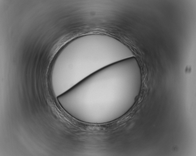 X0000115630242200911101125
