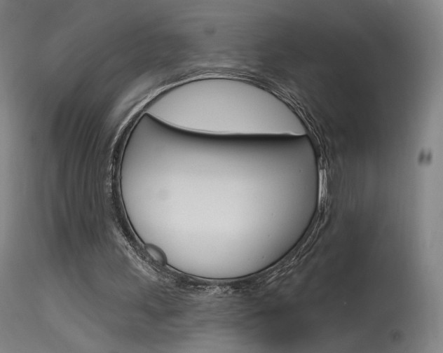 X0000115630243200911101125