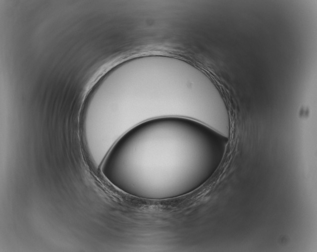 X0000115630244200911101125