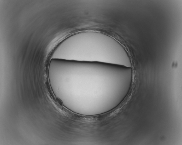X0000115630245200911101125