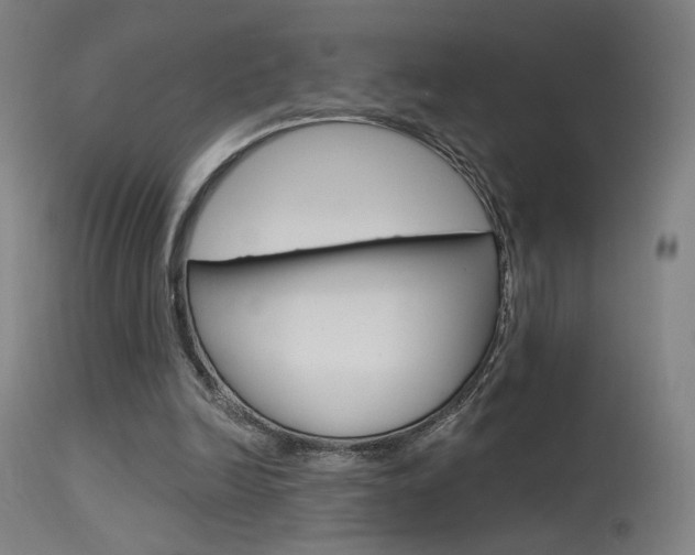 X0000115630246200911101125