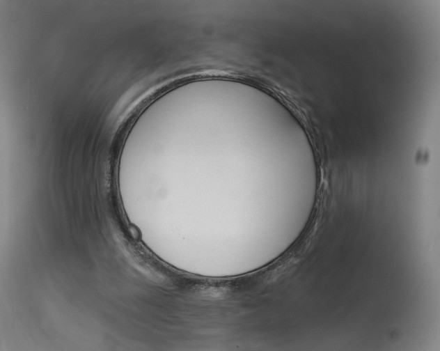 X0000115630247200911101125
