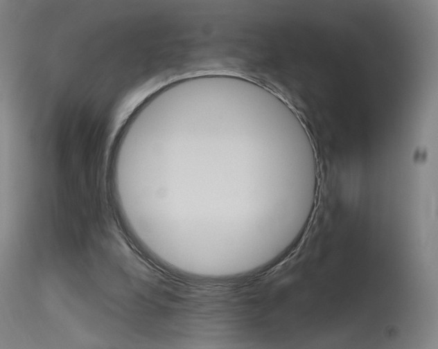X0000115630248200911101125