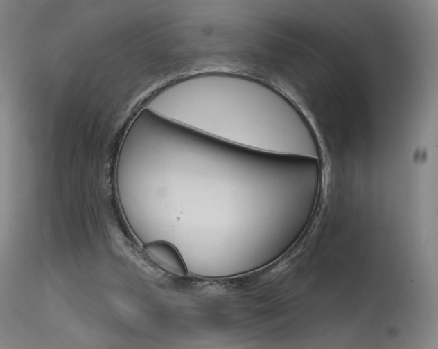 X0000115630249200911101125