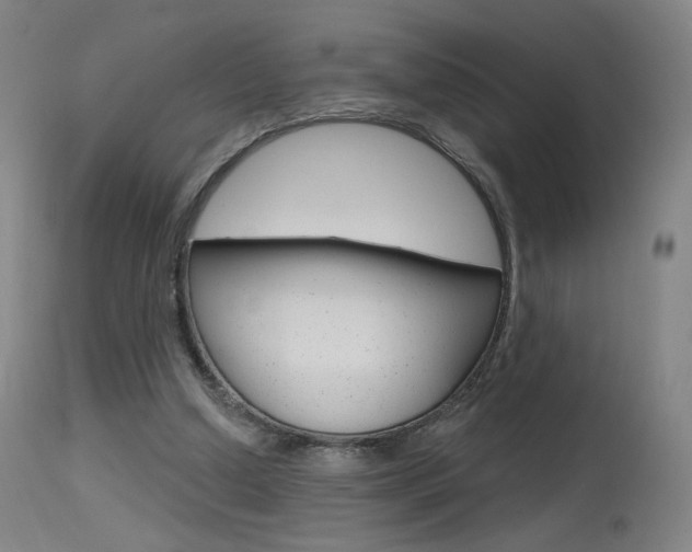 X0000115630250200911101125
