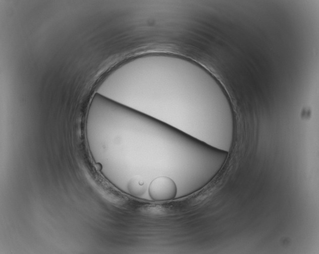 X0000115630253200911101125
