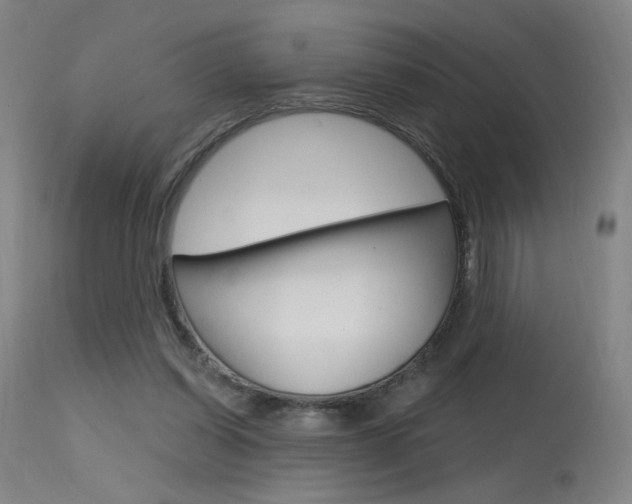 X0000115630254200911101125