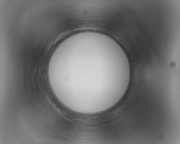 X0000115630256200911101125