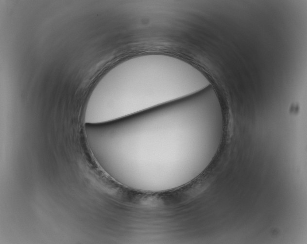X0000115630258200911101125