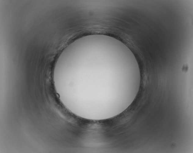 X0000115630259200911101125