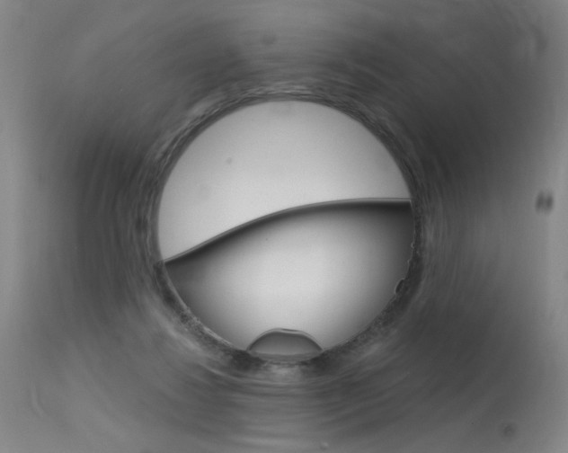 X0000115630260200911101125
