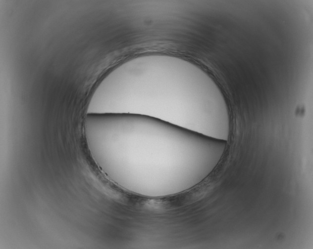 X0000115630261200911101125