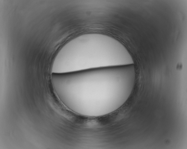 X0000115630262200911101125