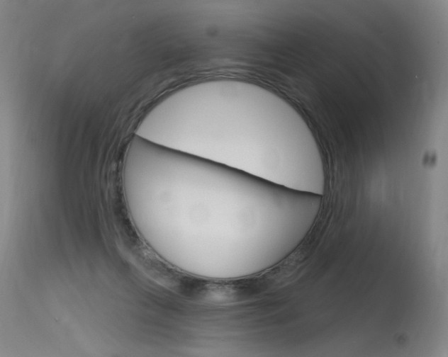 X0000115630263200911101125