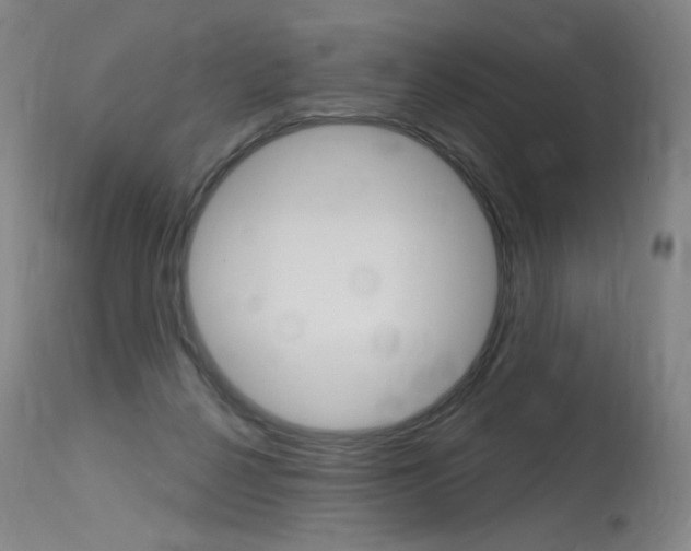 X0000115630264200911101125