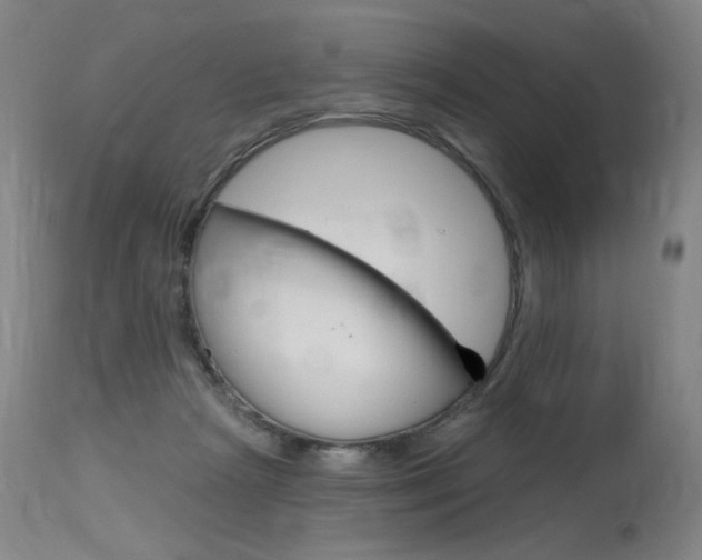 X0000115630265200911101125