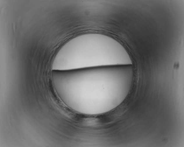 X0000115630266200911101125