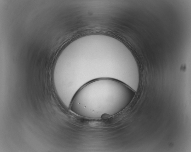 X0000115630268200911101125