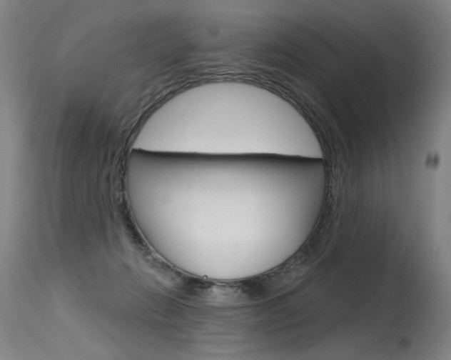 X0000115630270200911101125