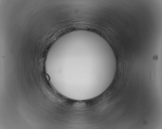 X0000115630271200911101125