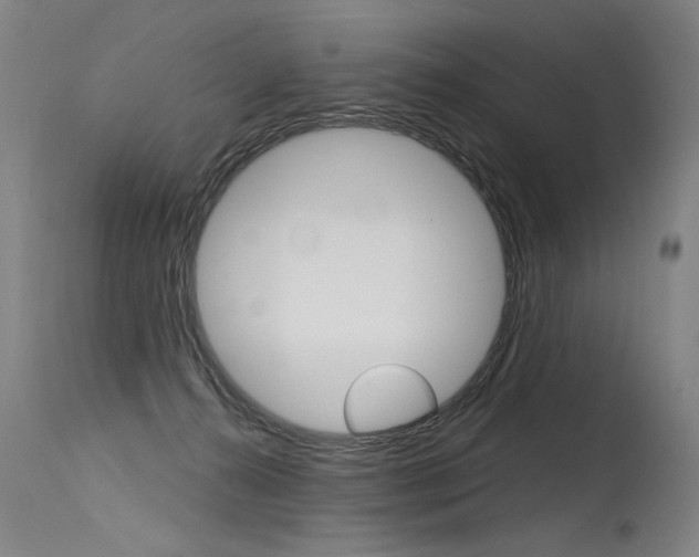 X0000115630272200911101125