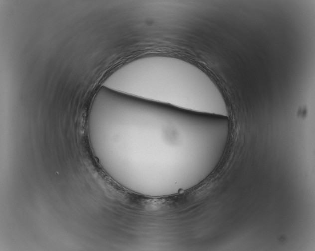 X0000115630273200911101125