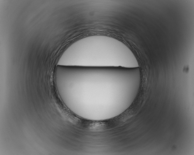 X0000115630274200911101125