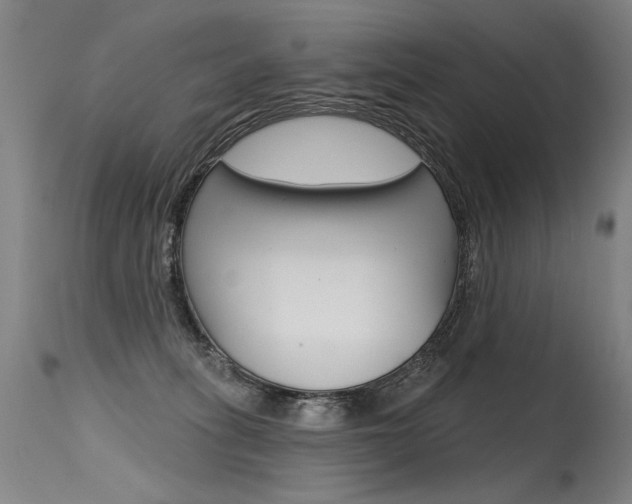 X0000115630275200911101125
