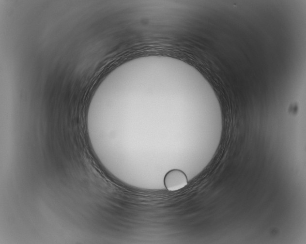 X0000115630276200911101125