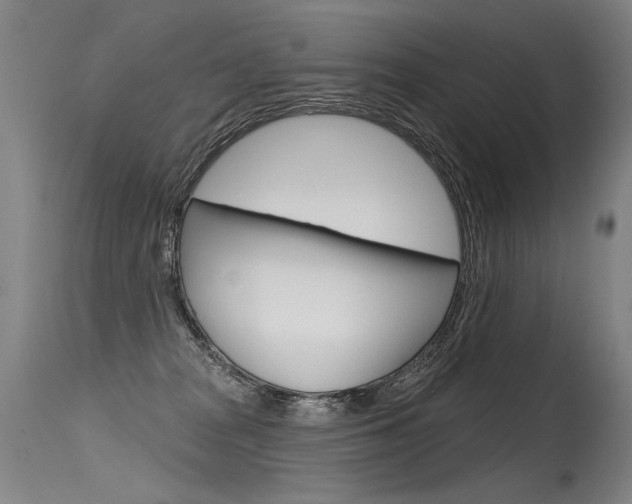 X0000115630277200911101125