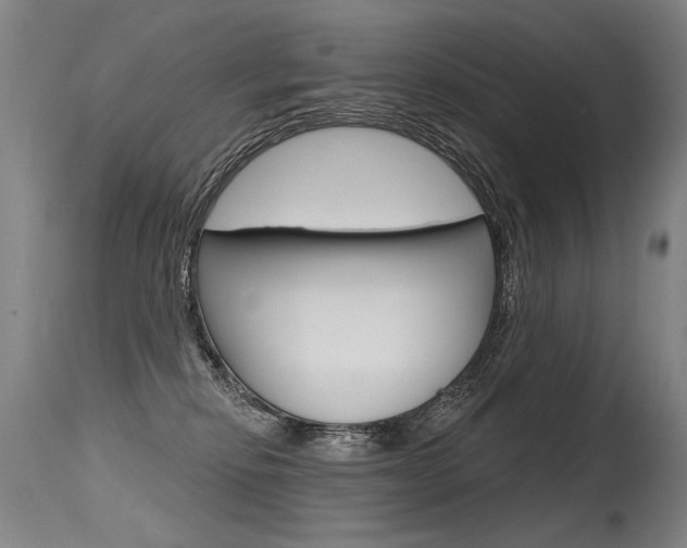 X0000115630278200911101125
