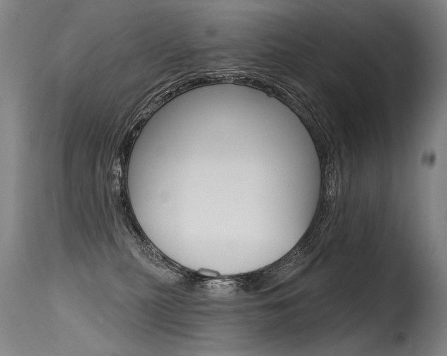 X0000115630279200911101125