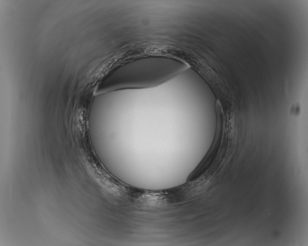 X0000115630280200911101125