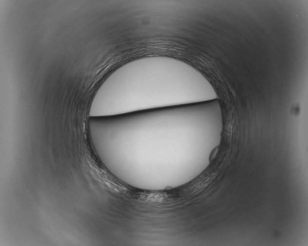 X0000115630282200911101125