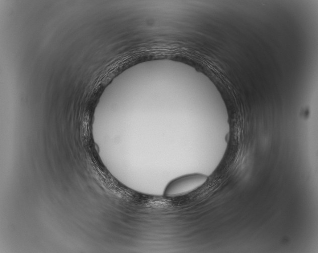 X0000115630283200911101125