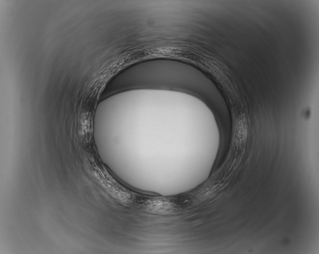 X0000115630284200911101125