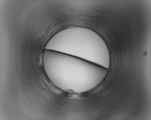 X0000115630285200911101125