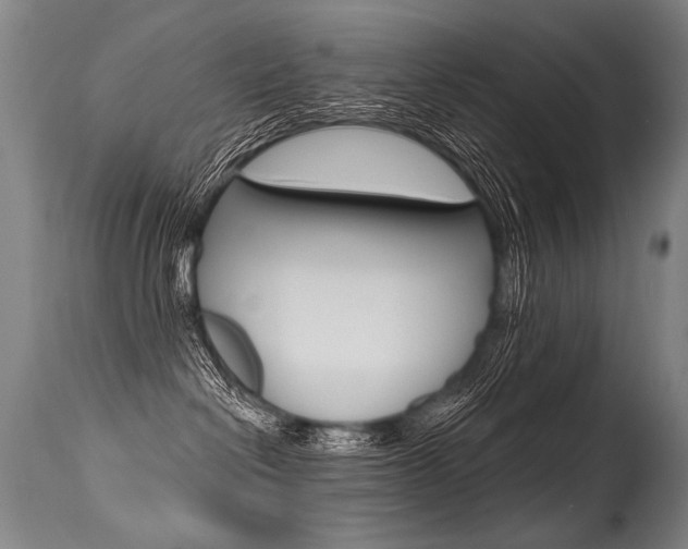 X0000115630286200911101125